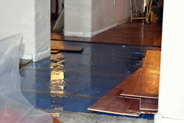 Professional Basement Flood Cleanup technician working in Adel, IA